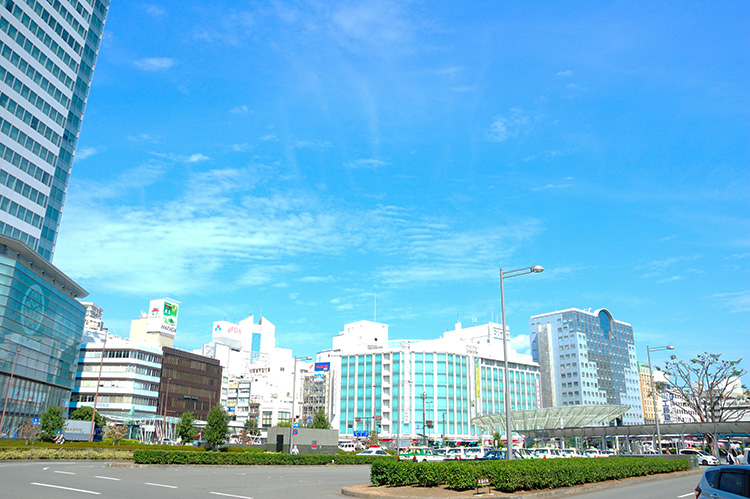 2025年最新！静岡市・国の補助金で賢くリフォームする方法
